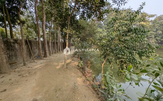 Prime Land for Sale in Atipara-Gouripur-Kochua Road, Daudkandi, Comilla