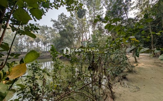 Prime Land for Sale in Atipara-Gouripur-Kochua Road, Daudkandi, Comilla